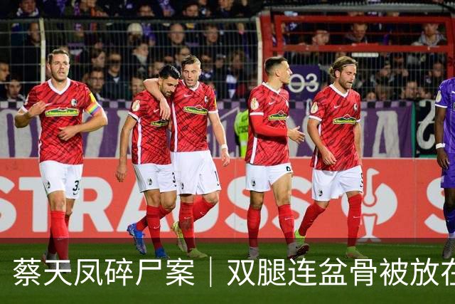 蔡天凤碎尸案｜双腿连盆骨被放在冰箱内，政府化验师形容“骨上面有点肉”